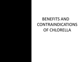 BENEFITS AND
CONTRAINDICATIONS
OF CHLORELLA
 