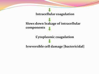 Intracellular coagulation

Slows down leakage of intracellular
components

      Cytoplasmic coagulation

Irreversible cell damage [bactericidal]
 