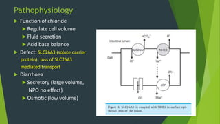 Pathophysiology
 Function of chloride
 Regulate cell volume
 Fluid secretion
 Acid base balance
 Defect: SLC26A3 (solute carrier
protein), loss of SLC26A3
mediated transport
 Diarrhoea
 Secretory (large volume,
NPO no effect)
 Osmotic (low volume)
 
