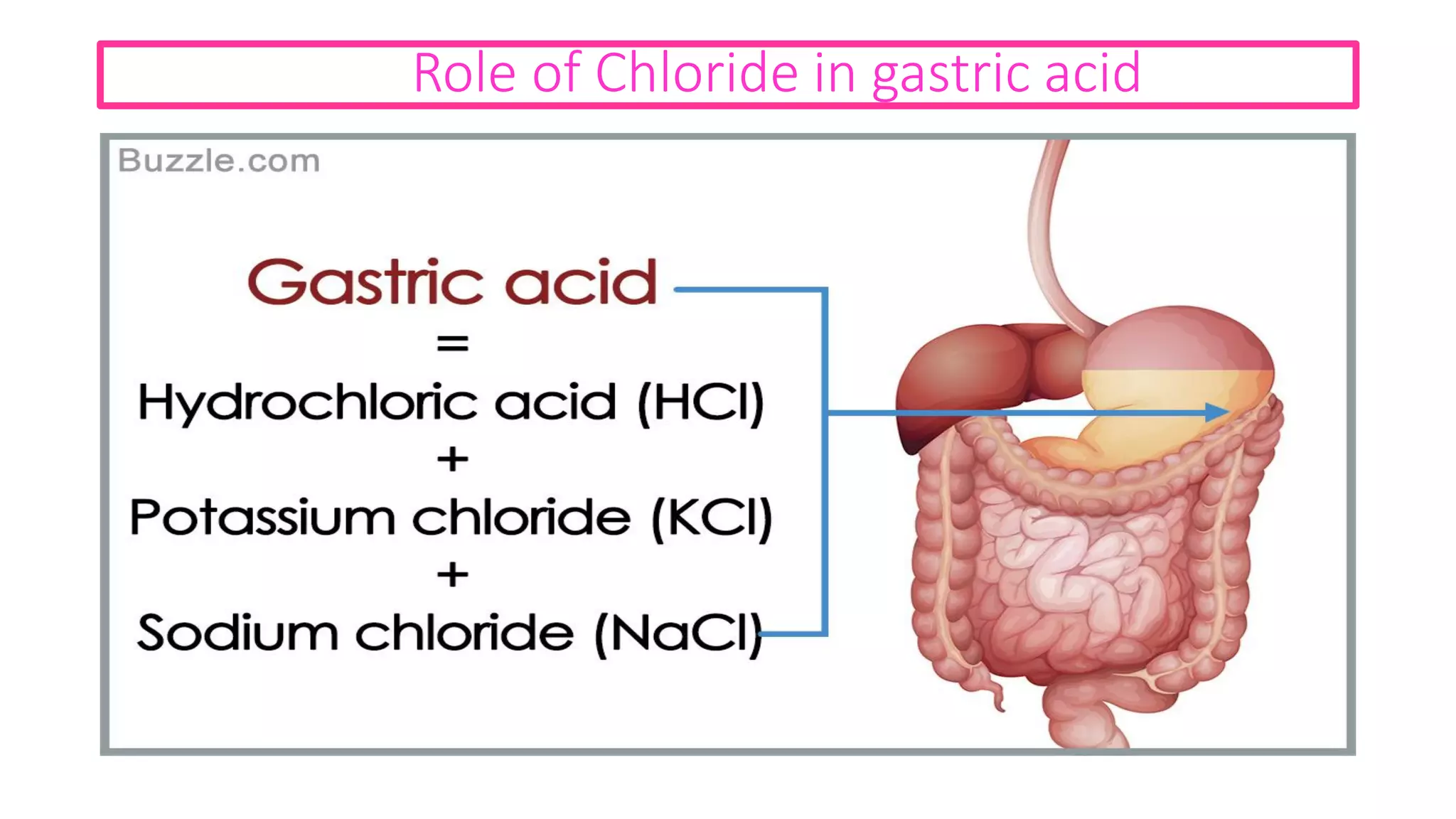 Chloride metabolism and its disorders | PDF