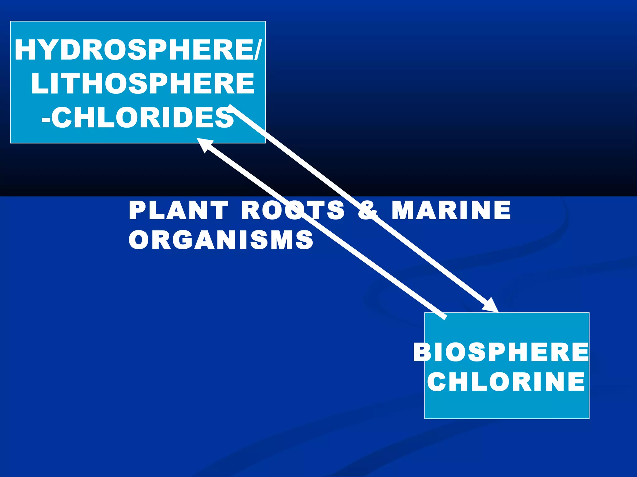 HYDROSPHERE/
LITHOSPHERE
-CHLORIDES
BIOSPHERE
CHLORINE
PLANT ROOTS & MARINE
ORGANISMS
 