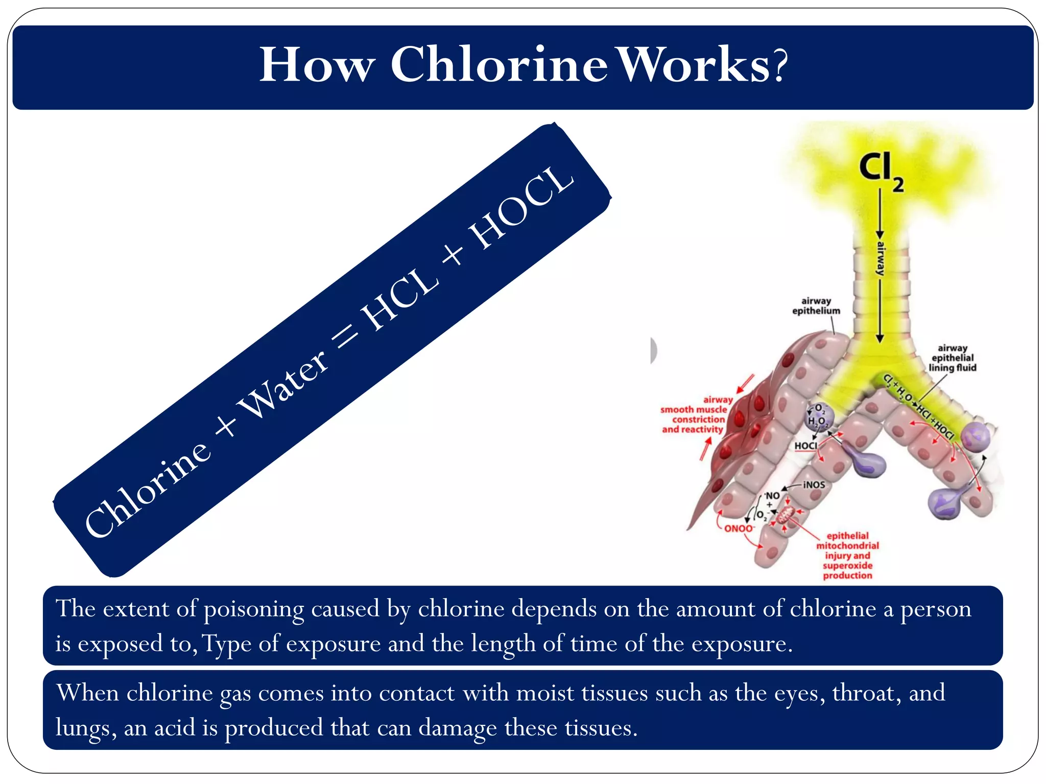 Clo2 Toxicity Chlorine safety by irfan ahmed | PDF