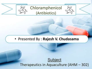• Presented By : Rajesh V. Chudasama
Subject
Therapeutics in Aquaculture (AHM – 302)
Chloramphenicol
(Antibiotics)
 