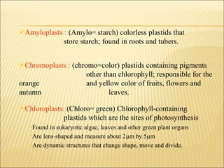 1. Chloroplast membrane
2. Stroma or Matrix
3.Grana
4. Lamellae
Stroma lamellae
Grana lamellae- Thylakoid -chlorophyll- qu...