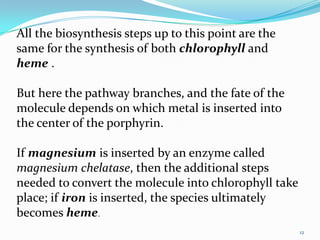 All the biosynthesis steps up to this point are the
same for the synthesis of both chlorophyll and
heme .

But here the pathway branches, and the fate of the
molecule depends on which metal is inserted into
the center of the porphyrin.

If magnesium is inserted by an enzyme called
magnesium chelatase, then the additional steps
needed to convert the molecule into chlorophyll take
place; if iron is inserted, the species ultimately
becomes heme.
                                                       12
 