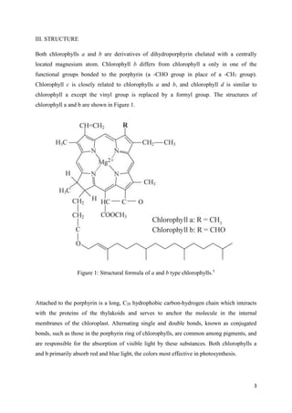 3
III. STRUCTURE
Both chlorophylls a and b are derivatives of dihydroporphyrin chelated with a centrally
located magnesium atom. Chlorophyll b differs from chlorophyll a only in one of the
functional groups bonded to the porphyrin (a -CHO group in place of a -CH3 group).
Chlorophyll c is closely related to chlorophylls a and b, and chlorophyll d is similar to
chlorophyll a except the vinyl group is replaced by a formyl group. The structures of
chlorophyll a and b are shown in Figure 1.
Figure 1: Structural formula of a and b type chlorophylls.5
Attached to the porphyrin is a long, C20 hydrophobic carbon-hydrogen chain which interacts
with the proteins of the thylakoids and serves to anchor the molecule in the internal
membranes of the chloroplast. Alternating single and double bonds, known as conjugated
bonds, such as those in the porphyrin ring of chlorophylls, are common among pigments, and
are responsible for the absorption of visible light by these substances. Both chlorophylls a
and b primarily absorb red and blue light, the colors most effective in photosynthesis.
 