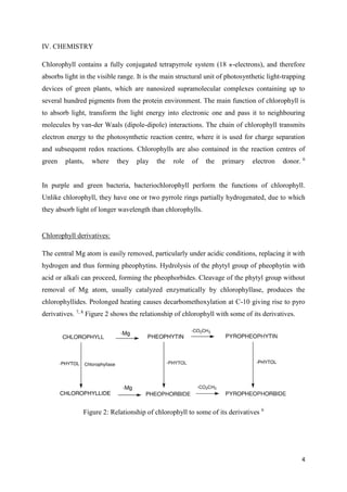 4
IV. CHEMISTRY
Chlorophyll contains a fully conjugated tetrapyrrole system (18 -electrons), and therefore
absorbs light in the visible range. It is the main structural unit of photosynthetic light-trapping
devices of green plants, which are nanosized supramolecular complexes containing up to
several hundred pigments from the protein environment. The main function of chlorophyll is
to absorb light, transform the light energy into electronic one and pass it to neighbouring
molecules by van-der Waals (dipole-dipole) interactions. The chain of chlorophyll transmits
electron energy to the photosynthetic reaction centre, where it is used for charge separation
and subsequent redox reactions. Chlorophylls are also contained in the reaction centres of
green plants, where they play the role of the primary electron donor. 6
In purple and green bacteria, bacteriochlorophyll perform the functions of chlorophyll.
Unlike chlorophyll, they have one or two pyrrole rings partially hydrogenated, due to which
they absorb light of longer wavelength than chlorophylls.
Chlorophyll derivatives:
The central Mg atom is easily removed, particularly under acidic conditions, replacing it with
hydrogen and thus forming pheophytins. Hydrolysis of the phytyl group of pheophytin with
acid or alkali can proceed, forming the pheophorbides. Cleavage of the phytyl group without
removal of Mg atom, usually catalyzed enzymatically by chlorophyllase, produces the
chlorophyllides. Prolonged heating causes decarbomethoxylation at C-10 giving rise to pyro
derivatives. 7, 8
Figure 2 shows the relationship of chlorophyll with some of its derivatives.
Figure 2: Relationship of chlorophyll to some of its derivatives 9
 