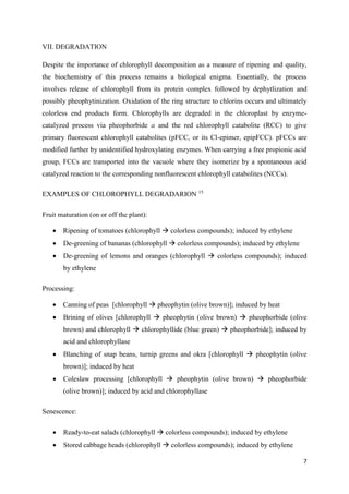 7
VII. DEGRADATION
Despite the importance of chlorophyll decomposition as a measure of ripening and quality,
the biochemistry of this process remains a biological enigma. Essentially, the process
involves release of chlorophyll from its protein complex followed by dephytlization and
possibly pheophytinization. Oxidation of the ring structure to chlorins occurs and ultimately
colorless end products form. Chlorophylls are degraded in the chloroplast by enzyme-
catalyzed process via pheophorbide a and the red chlorophyll catabolite (RCC) to give
primary fluorescent chlorophyll catabolites (pFCC, or its Cl-epimer, epipFCC). pFCCs are
modified further by unidentified hydroxylating enzymes. When carrying a free propionic acid
group, FCCs are transported into the vacuole where they isomerize by a spontaneous acid
catalyzed reaction to the corresponding nonfluorescent chlorophyll catabolites (NCCs).
EXAMPLES OF CHLOROPHYLL DEGRADARION 15
Fruit maturation (on or off the plant):
 Ripening of tomatoes (chlorophyll  colorless compounds); induced by ethylene
 De-greening of bananas (chlorophyll  colorless compounds); induced by ethylene
 De-greening of lemons and oranges (chlorophyll  colorless compounds); induced
by ethylene
Processing:
 Canning of peas [chlorophyll  pheophytin (olive brown)]; induced by heat
 Brining of olives [chlorophyll  pheophytin (olive brown)  pheophorbide (olive
brown) and chlorophyll  chlorophyllide (blue green)  pheophorbide]; induced by
acid and chlorophyllase
 Blanching of snap beans, turnip greens and okra [chlorophyll  pheophytin (olive
brown)]; induced by heat
 Coleslaw processing [chlorophyll  pheophytin (olive brown)  pheophorbide
(olive brown)]; induced by acid and chlorophyllase
Senescence:
 Ready-to-eat salads (chlorophyll  colorless compounds); induced by ethylene
 Stored cabbage heads (chlorophyll  colorless compounds); induced by ethylene
 