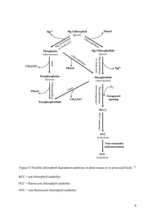 8
Figure 4: Possible chlorophyll degradation pathways in plant tissues or in processed foods. 16
RCC = red chlorophyll catabolite
FCC = fluorescent chlorophyll catabolite
NCC = non-fluorescent chlorophyll catabolite
 