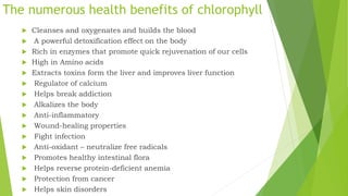 Chlorophyll | PPT