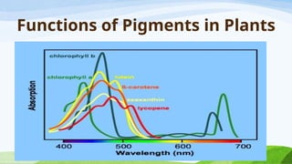 CHLOROPHYLL AND OTHER PIGMENTS general biology.pptx