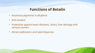 CHLOROPHYLL AND OTHER PIGMENTS general biology.pptx