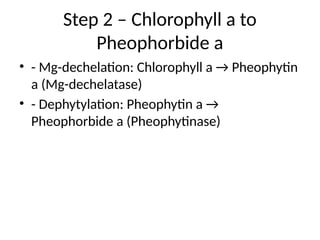 Chlorophyll degradation senesence presentation | PPTX