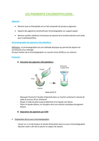 LES PIGMENTS CHLOROPHYLLIENS :
Objectifs :
 Montrer que la chlorophylle est en fait composée de plusieurs pigments.
 Séparer des pigments constitutifs par chromatographie sur support papier
 Montrer quelles radiations lumineuses du spectre de la lumière blanche sont utiles
pour la photosynthèse.
Chromatographie des pigments chlorophylliens :
Définition : la chromatographie est une méthode physique qui permet de séparer les
constituants d’un mélange
On peut réaliser de la chromatographie sur couche mince (CCM) ou sur colonne.
Protocole :
1) Extraction des pigments chlorophylliens :
www.jeulin.fr
- Découper finement 5 feuilles d’épinards dans un mortier contenant 1 pincée de
sable et environ 20 mL d'éthanol.
- Broyer à l'aide du pilon jusqu'à obtention d'un liquide vert dense.
- Filtrer le liquide obtenu, on récupère ainsi une solution alcoolique de pigment
foliaire.
2) Séparation des pigments par CCM :
 Préparation de la cuve à chromatographie :
- Verser sur 1 cm de hauteur le solvant d'extraction dans la cuve à chromatographie.
- Boucher celle-ci afin de la saturer en vapeur de solvant.
 