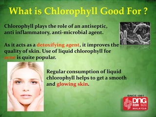 What is Chlorophyll Good For ?
Chlorophyll plays the role of an antiseptic,
anti inflammatory, anti-microbial agent.

As it acts as a detoxifying agent, it improves the
quality of skin. Use of liquid chlorophyll for
acne is quite popular.

                  Regular consumption of liquid
                  chlorophyll helps to get a smooth
                  and glowing skin.
 
