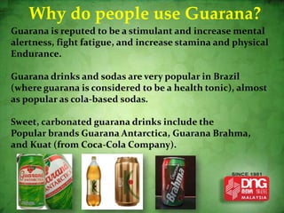 Why do people use Guarana?
Guarana is reputed to be a stimulant and increase mental
alertness, fight fatigue, and increase stamina and physical
Endurance.

Guarana drinks and sodas are very popular in Brazil
(where guarana is considered to be a health tonic), almost
as popular as cola-based sodas.

Sweet, carbonated guarana drinks include the
Popular brands Guarana Antarctica, Guarana Brahma,
and Kuat (from Coca-Cola Company).
 