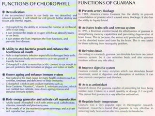 Chlorophyll plus guarana - Presentation