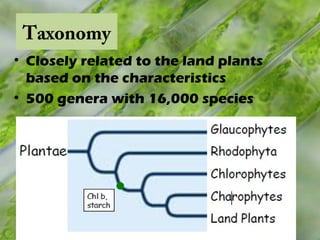 Taxonomy
• Closely related to the land plants
based on the characteristics
• 500 genera with 16,000 species
 