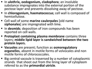  In ulothrix, oedogonium, cladophora; an insoluble
substance impregnates into the external portion of the
pectose layer and prevents dissolving away of pectose.
 In chlorogonium, haematococcus; cell wall is composed of
hemicellulose.
 Cell wall of some marine caulerpales [old name
siphonales] are impregnated with lime.
 In desmids; deposition of iron compounds has been
reported on cell walls.
 Protoplast containing plasma membrane contains three
layers; middle lipid layer is sandwiched between the two
protein layers.
 Vacuoles are present; function as osmoregulatory
organelles, absent in motile forms of volvocales and non
motile forms of chlorococcales.
 Big central vacoule is traversed by a number of cytoplasmic
strands that shoot out from the lining layer of cytoplasm
refered to as the primordial utricle.
 