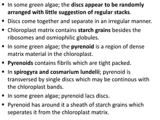  In some green algae; the discs appear to be randomly
arranged with little suggestion of regular stacks.
 Discs come together and separate in an irregular manner.
 Chloroplast matrix contains starch grains besides the
ribosomes and osmiophilic globules.
 In some green algae; the pyrenoid is a region of dense
matrix material in the chloroplast.
 Pyrenoids contains fibrils which are tight packed.
 In spirogyra and cosmarium lundelii; pyrenoid is
transversed by single discs which may be continous with
the chloroplast bands.
 In some green algae; pyrenoid lacs discs.
 Pyrenoid has around it a sheath of starch grains which
seperates it from the chloroplast matrix.
 