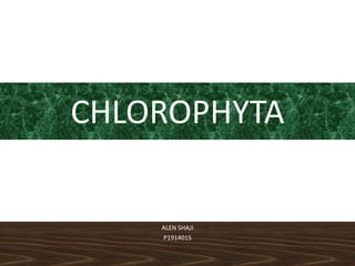 https://image.slidesharecdn.com/chlorophyta-210516075216/85/chlorophyta-1-320.jpg?cb=1705597941