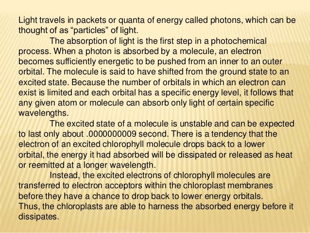 Chloroplast