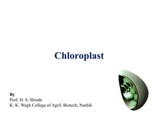 Chloroplast
By
Prof. H. S. Shinde
K. K. Wagh College of Agril. Biotech, Nashik
 