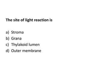 The site of light reaction is
a) Stroma
b) Grana
c) Thylakoid lumen
d) Outer membrane
 
