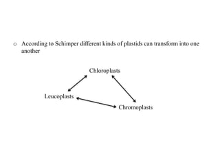 o According to Schimper different kinds of plastids can transform into one
another
Leucoplasts
Chloroplasts
Chromoplasts
 