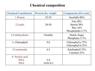 Chemical composition
Chemical Constituents Percent dry weight Components (Per cent)
1.Protein 35-55 Insoluble 80%
2.Lipids 20-30
Fats 50%
Sterols 20%
Wax 16%
Phosphatides 2-7%
3.Carbohydrates Variable Starch, Sugar
Phosphates 3-7%
4. Chlorophyll 9.0 Chlorophyll a 75%
Chlorophyll b 25%
5.Carotenoids 4.5 Xanthophyll 75%
Carotene 25%
6. Nucleic acid
RNA
DNA
3-4
˂0.02-0.1
 