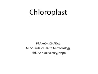 Chloroplast
PRAKASH DHAKAL
M. Sc. Public Health Microbiology
Tribhuvan University, Nepal
 