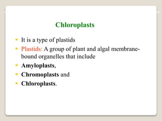  It is a type of plastids
 Plastids: A group of plant and algal membrane-
bound organelles that include
 Amyloplasts,
 Chromoplasts and
 Chloroplasts.
Chloroplasts
 