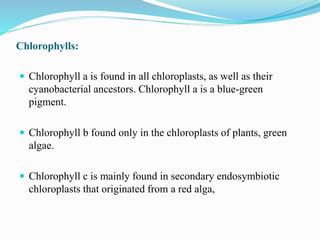 Chlorophylls:
 Chlorophyll a is found in all chloroplasts, as well as their
cyanobacterial ancestors. Chlorophyll a is a blue-green
pigment.
 Chlorophyll b found only in the chloroplasts of plants, green
algae.
 Chlorophyll c is mainly found in secondary endosymbiotic
chloroplasts that originated from a red alga,
 