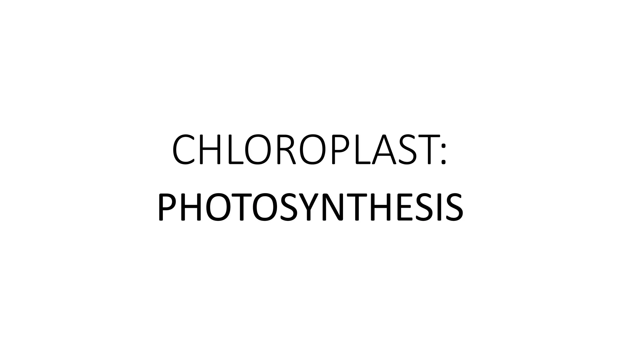 CHLOROPLAST.pptx