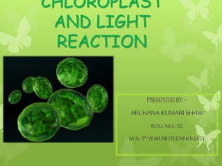 CHLOROPLAST
AND LIGHT
REACTION
PRESENTED BY –
ARCHANA KUMARI SHAW
ROLL NO.:02
M.Sc1st YEAR BIOTECHNOLOGY
 