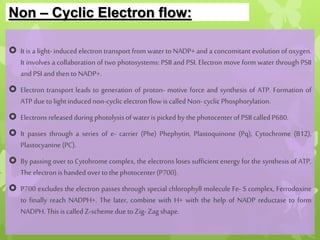 Non – Cyclic Electron flow:
 It is a light- induced electron transport from water to NADP+ and a concomitant evolution of oxygen.
It involves a collaboration of two photosystems: PSII and PSI. Electron move form water through PSII
and PSI and thentoNADP+.
 Electron transport leads to generation of proton- motive force and synthesis of ATP. Formation of
ATP dueto lightinducednon-cyclicelectronflow iscalled Non-cyclic Phosphorylation.
 Electronsreleasedduringphotolysisof water ispicked by thephotocenterof PSII calledP680.
 It passes through a series of e- carrier (Phe) Phephytin, Plastoquinone (Pq), Cytochrome (B12),
Plastocyanine(PC).
 By passing over to Cytohrome complex, the electrons loses sufficient energy for the synthesis of ATP.
Theelectronishanded overtothephotocenter(P700).
 P700 excludes the electron passes through special chlorophyll molecule Fe- S complex, Ferrodoxine
to finally reach NADPH+. The later, combine with H+ with the help of NADP reductase to form
NADPH.Thisiscalled Z-scheme dueto Zig-Zag shape.
 
