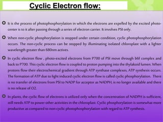 Cyclic Electron flow:
 It is the process of photophosphorylation in which the electrons are expelled by the excited photo-
center is to it after passing through a series of electron carrier. It involves PSI only.
 When non-cyclic phosphorylation is stopped under certain condition, cyclic photophosphorylation
occurs. The non-cyclic process can be stopped by illuminating isolated chloroplast with a lighter
wavelength greater than 680nm actives.
 In cyclic electron flow , photo-excited electrons from P700 of PSI move through b6f complex and
back to P700. This cyclic electron flow is coupled to proton pumping into the thylakoid lumen. When
protons flow their electrochemical gradient through ATP synthase complexes, ATP synthesis occurs.
The formation of ATP due to light induced cyclic electron flow is called cyclic phosphorylation. There
is no transfer of electrons from PSI to NADP for acceptor as NADPH, is no longer available and there
is no release of O2.
 In plants, the cyclic flow of electrons is utilized only when the concentration of NADPH is sufficient,
still needs ATP to power other activities in the chloroplast. Cyclic phosphorylation is somewhat more
productive as compared to non-cyclic photophosphorylation with regard to ATP synthesis.
 