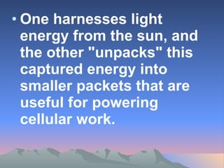One harnesses light energy from the sun, and the other "unpacks" this captured energy into smaller packets that are useful for powering cellular work.  