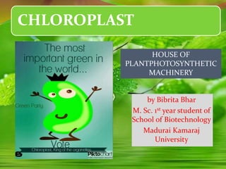 CHLOROPLAST
by Bibrita Bhar
M. Sc. 1st year student of
School of Biotechnology
Madurai Kamaraj
University
HOUSE OF
PLANTPHOTOSYNTHETIC
MACHINERY
 