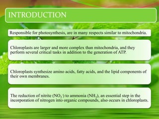 INTRODUCTION
Responsible for photosynthesis, are in many respects similar to mitochondria.
Chloroplasts are larger and more complex than mitochondria, and they
perform several critical tasks in addition to the generation of ATP.
Chloroplasts synthesize amino acids, fatty acids, and the lipid components of
their own membranes.
The reduction of nitrite (NO2
-) to ammonia (NH3), an essential step in the
incorporation of nitrogen into organic compounds, also occurs in chloroplasts.
 
