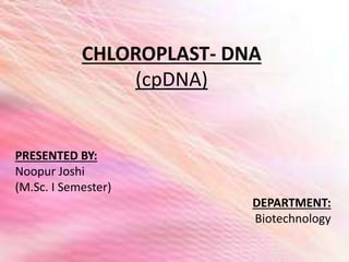 CHLOROPLAST- DNA
(cpDNA)
PRESENTED BY:
Noopur Joshi
(M.Sc. I Semester)
DEPARTMENT:
Biotechnology
 