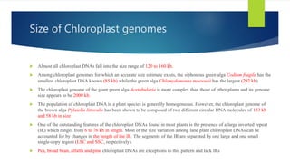 Size of Chloroplast genomes
 Almost all chloroplast DNAs fall into the size range of 120 to 160 kb.
 Among chloroplast genomes for which an accurate size estimate exists, the siphonous green alga Codium fragile has the
smallest chloroplast DNA known (85 kb) while the green alga Chlamydomonas moewusii has the largest (292 kb).
 The chloroplast genome of the giant green alga Acetabularia is more complex than those of other plants and its genome
size appears to be 2000 kb.
 The population of chloroplast DNA in a plant species is generally homogeneous. However, the chloroplast genome of
the brown alga Pylaiella littoralis has been shown to be composed of two different circular DNA molecules of 133 kb
and 58 kb in size
 One of the outstanding features of the chloroplast DNAs found in most plants is the presence of a large inverted repeat
(IR) which ranges from 6 to 76 kb in length. Most of the size variation among land plant chloroplast DNAs can be
accounted for by changes in the length of the IR. The segments of the IR are separated by one large and one small
single-copy region (LSC and SSC, respectively).
 Pea, broad bean, alfalfa and pine chloroplast DNAs are exceptions to this pattern and lack IRs
 