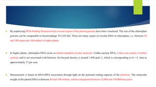 By employing DNA-binding flourescent dye several copies of the plastid genome have been visualized. The size of the chloroplast
genome can be comparable to bacteriophage T4 (165 kb). There are many copies of circular DNA in chloroplast, i.e., between 20
and 100 copies per chloroplast in higher plants.
 In higher plants, chloroplast DNA exists as double-stranded circular molecule. Unlike nuclear DNA, it does not contain 5-methyl
cytosine and is not associated with histones. Its buoyant density is around 1.690 gmL-1, which is corresponding to G + C ratio to
approximately 37 per cent.
 Measurement is based on DNA-DNA association through light on the potential coding capacity of the plastome. The molecular
weight of the plastid DNA is between 80 and 100 million, which corresponds between 12,000 and 150,000 base pairs
 
