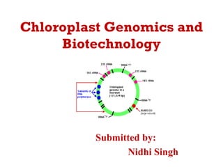Chloroplast Genomics and
Biotechnology
Submitted by:
Nidhi Singh
 
