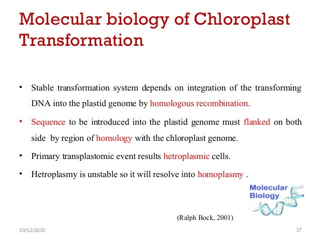 Chloroplast Genomics And Biotechnology - 