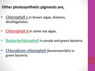 Other photosynthetic pigments are, 
• Chlorophyll c in brown algae, diatoms, 
dinoflagellates. 
• Chlorophyll d in some red algae. 
• Bacteriochlorophyll in purple and green bacteria. 
• Chlorobium chlorophyll (bacterioviridin) in 
green bacteria. 
 