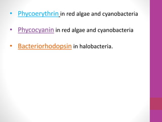 • Phycoerythrin in red algae and cyanobacteria 
• Phycocyanin in red algae and cyanobacteria 
• Bacteriorhodopsin in halobacteria. 
 