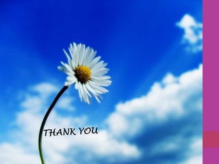 CHLOROPLAST AND CHLOROPHYLL