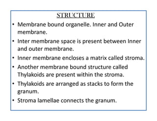 STRUCTURE
• Membrane bound organelle. Inner and Outer
membrane.
• Inter membrane space is present between Inner
and outer membrane.
• Inner membrane encloses a matrix called stroma.
• Another membrane bound structure called
Thylakoids are present within the stroma.
• Thylakoids are arranged as stacks to form the
granum.
• Stroma lamellae connects the granum.
 