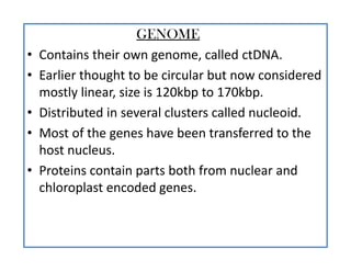 GENOME
• Contains their own genome, called ctDNA.
• Earlier thought to be circular but now considered
mostly linear, size is 120kbp to 170kbp.
• Distributed in several clusters called nucleoid.
• Most of the genes have been transferred to the
host nucleus.
• Proteins contain parts both from nuclear and
chloroplast encoded genes.
 